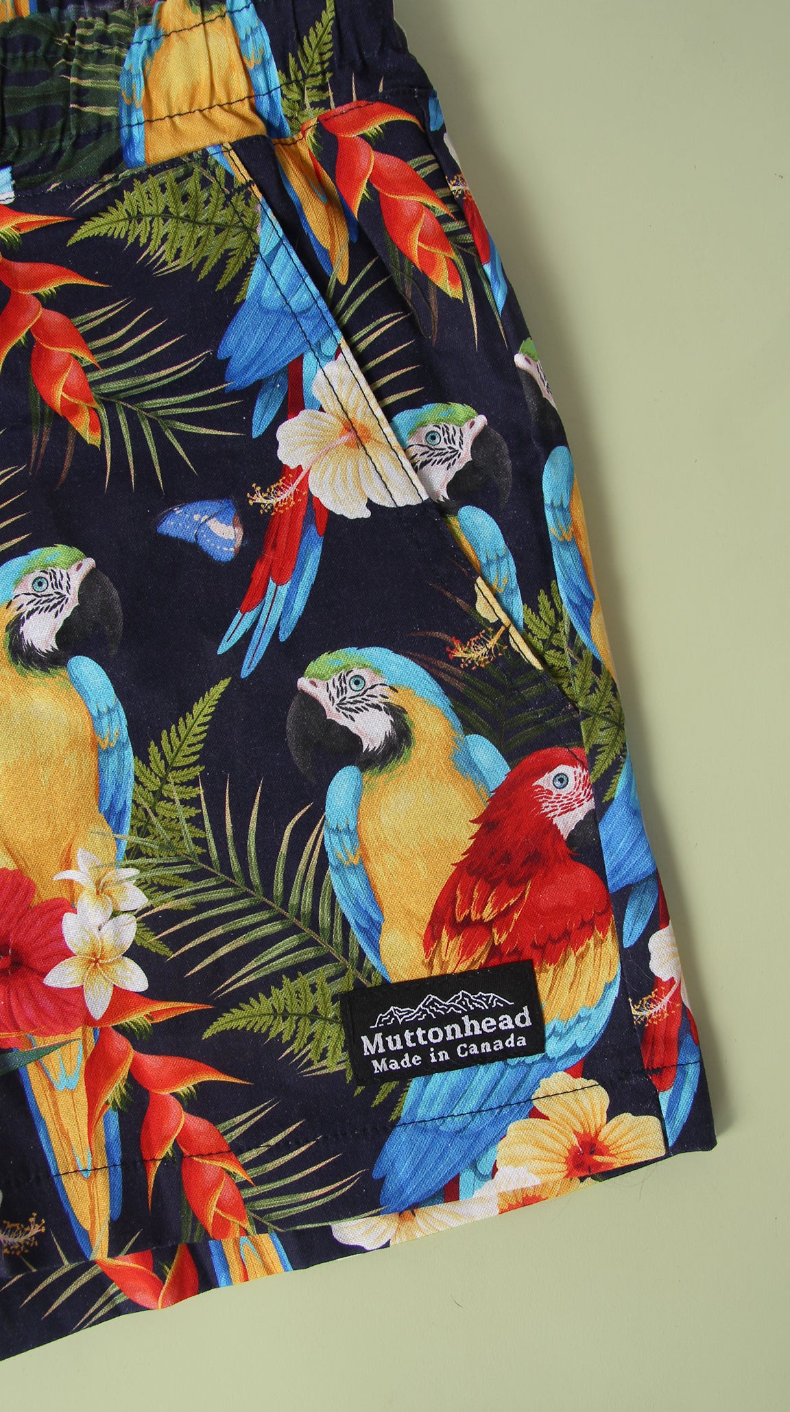 Track Shorts - Parrots